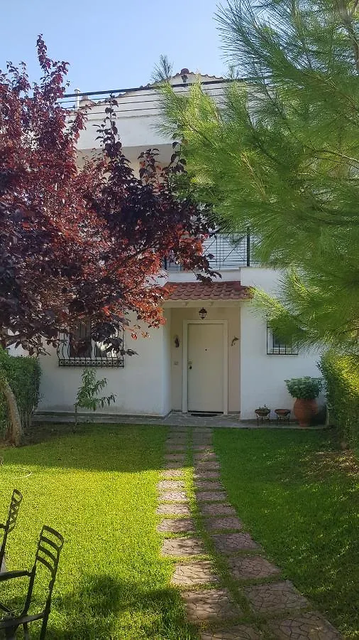 Villa Georgia Poseidi Kalandra Ferienhaus